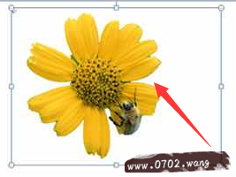 截屏的快捷键是什么?电脑截屏快捷键