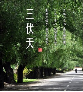 三伏天的一伏有多少天,一伏多少天