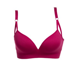 bra是什么意思?bar是不是文胸的意思