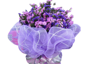 勿忘我花语是什么?紫色勿忘我花语