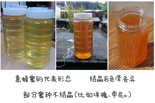 淘宝店土蜂蜜是真的吗?淘宝蜂蜜真假辨别