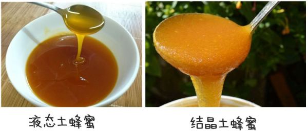 淘宝店土蜂蜜是真的吗?淘宝蜂蜜真假辨别