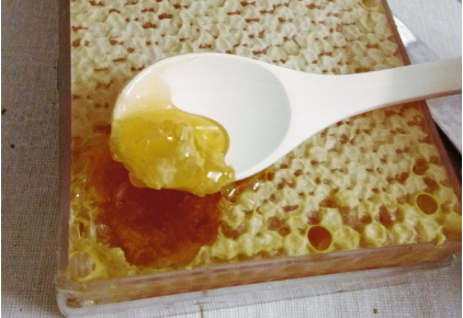 端木赐蜂蜜怎么样,端木赐蜂蜜好吗,端木赐旗舰店