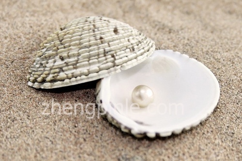 珍珠真假辨别方法及实图对比,珍珠真假辨别教程