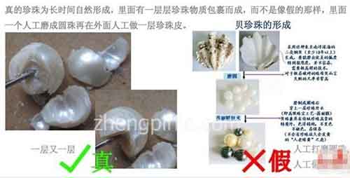 珍珠真假辨别方法及实图对比,珍珠真假辨别教程