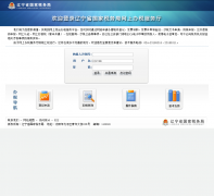 ����ʡ����˰������ϰ�˰������wsbst.tax.ln.cn