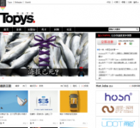 �����İ�topys.cn