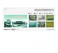 ����kingcarrier.com