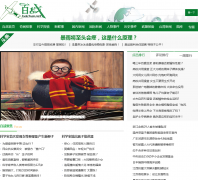 ��ս������baizhan.net