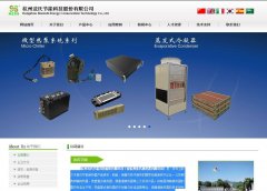 ���Ͻ���www.coaxial-coils.com.cn