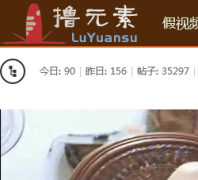 ߣԪ��luyuansu.com