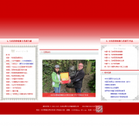 ������չ�� 181855.com