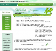 �й�������chayou.org.cn