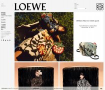 LOEWE������www.loewe.com