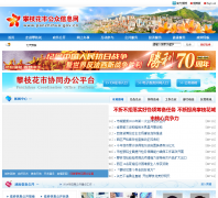 ��֦�������������Ż���վpanzhihua.gov.cn