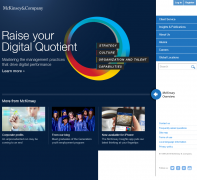 ���������mckinsey.com