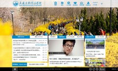 ����������ϢѧԺneusoft.edu.cn