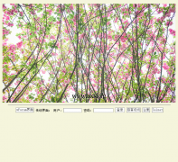 �Ĵ���ѧ��ɫ�ǿ�վ lsxk.org