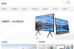 �������Ƽ����Źɷ����޹�˾boe.com