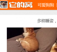 ������tadewo.com