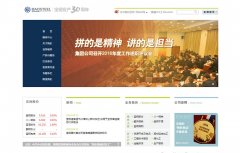 ���ּ���baosteel.com