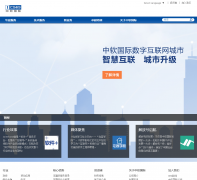 ��������chinasofti.com