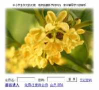 С��������zww.cn