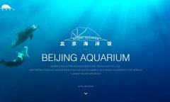 ���������bj-sea.com