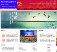 �Ĵ��Ļ���ҵְҵѧԺscvcci.cn