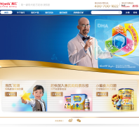 �����̷��й�����wyethbb.com.cn