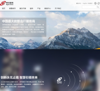 ��������digitalchina.com