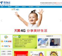 �й����Źɷ����޹�˾����ֹ�˾cqtelecom.com.cn