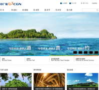 �й���˼���www.cgnpc.com.cn