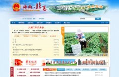 �ٸ�������������lingao.gov.cn