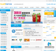 ���ؿƼ�teamtop.com