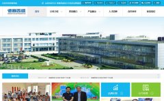 ���������������ӹɷ����޹�˾�ٷ���վdesaysv.com