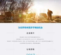 ���Ͻ��antfin.com