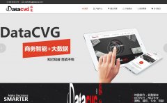 ���۹ɷ�www.datacvg.com