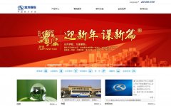 �����ͳ�king-long.com.cn