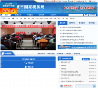 �����й���˰���nbtax.gov.cn