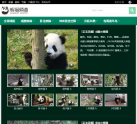 iPanda��èƵ��live.ipanda.com