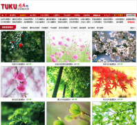 ͼƬ��tuku.cn