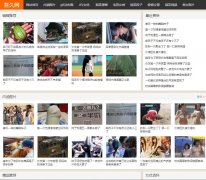 �����599z.com