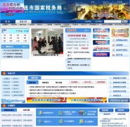 �����й���˰���dl-n-tax.gov.cn