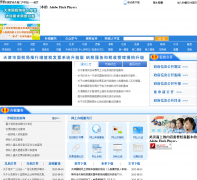 ����й���˰����Ż���վwww.tjsat.gov.cn