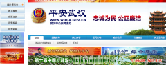 ƽ���人��whga.gov.cn