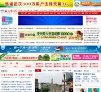 �人����wuhan.net.cn