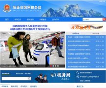 ����ʡ����˰���sn-n-tax.gov.cn