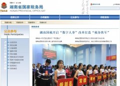 ����ʡ����˰����Ż���վhntax.gov.cn