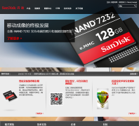 ����sandisk.cn